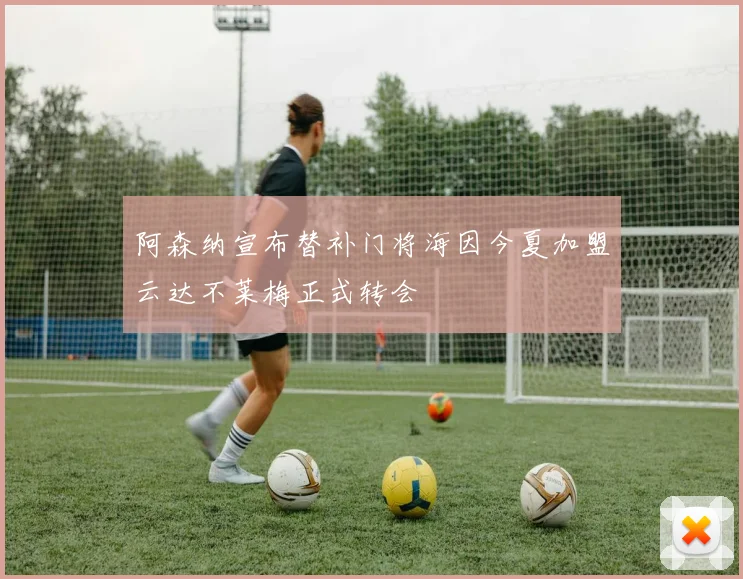 阿森纳宣布替补门将海因今夏加盟云达不莱梅正式转会
